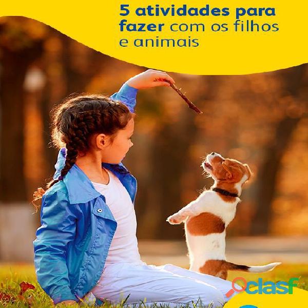 Tudo para seu Animalzinho de Estimação