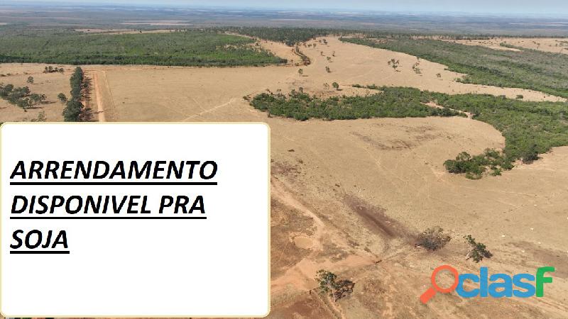 1.549 Alqs Arrendamento Disponivel Pra Soja Paranatinga MT