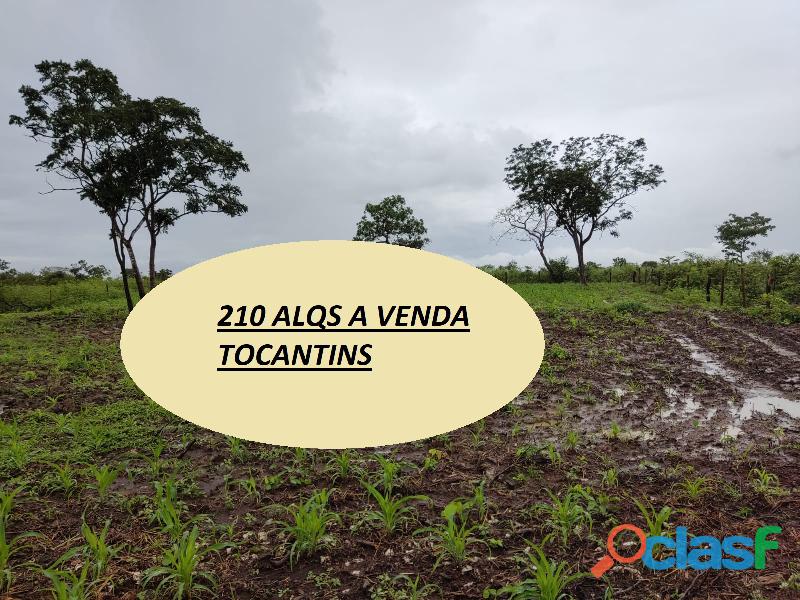 210 Alqs Ótima Água Terra e Logística Palmeirópolis TO