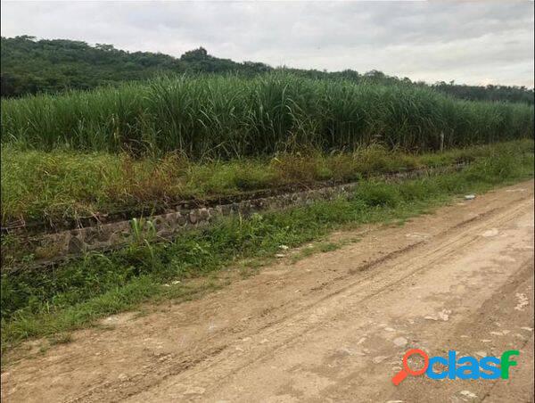 DE OPORTUNIDAD 10.9 HECTAREAS EN VENTA EN ACATITAN COLIMA