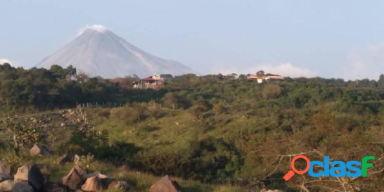 EN VENTA 6 HECTÁREAS A 900 MTS CARRETERA CARRIZALILLOS,