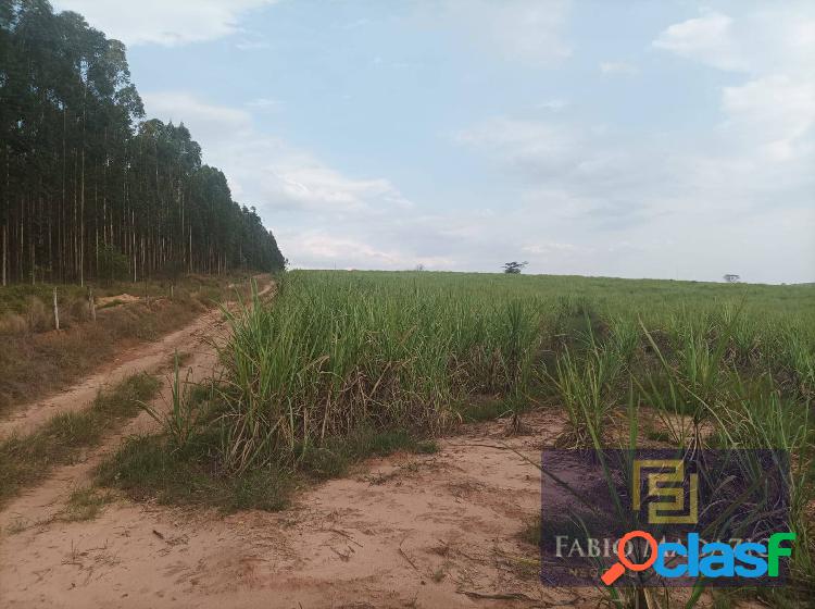 Fazenda em cana-de-açúcar região de Anhembi SP