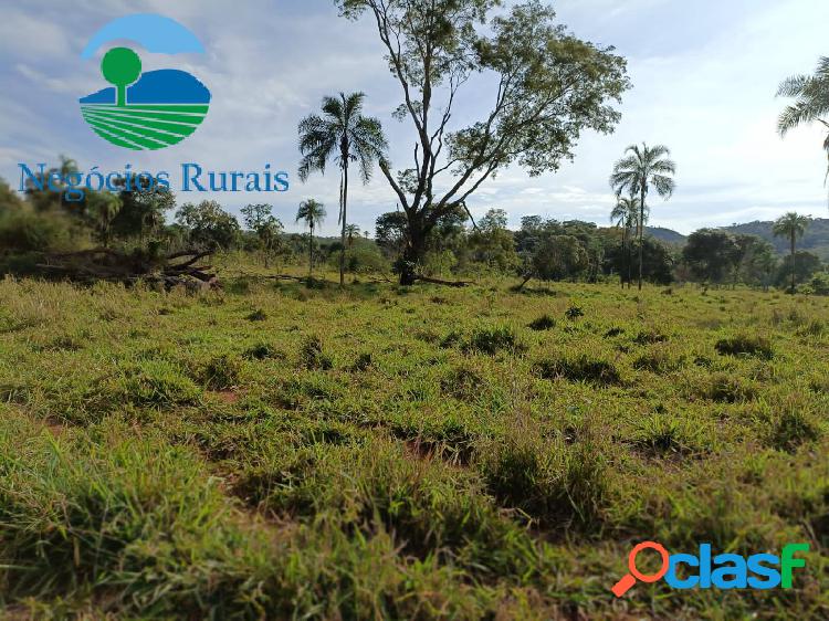 Fazenda 100 Alqueires Terra de Cultura para Cria, Recria e