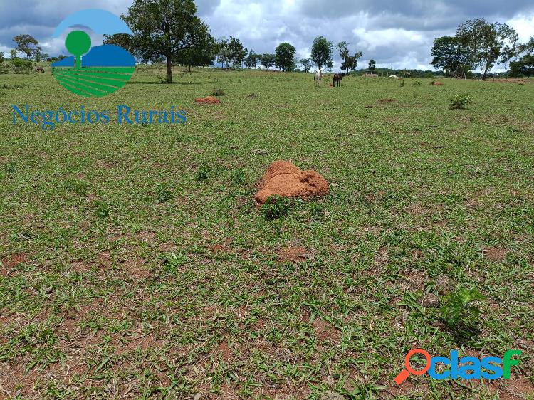Fazenda 24 Alqueires Dupla Aptidão Itapuranga Goiás