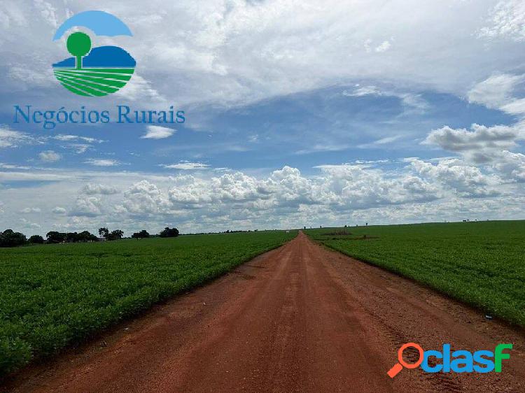 Fazenda plana em soja 288 na melhor região do Tocantins