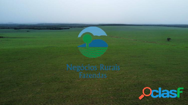 Mega Fazenda Dupla Aptidão Tocantins