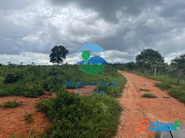 Fazenda dupla aptidão região de Uruaçu