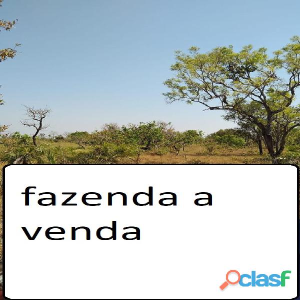 500 Alqs Plana Rio Acesso Bom Região Rio Sono TO