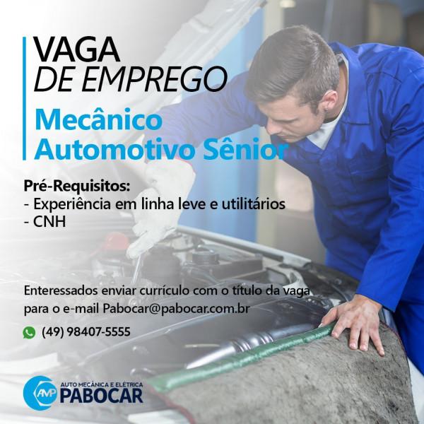 MECANICO OU ELETRICISTA
