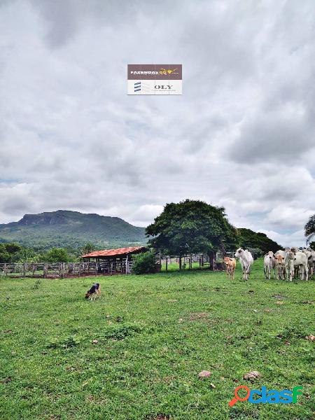 Oportunidade de Mercado ! 56 Alqueires em Sancrerlandia-GO !