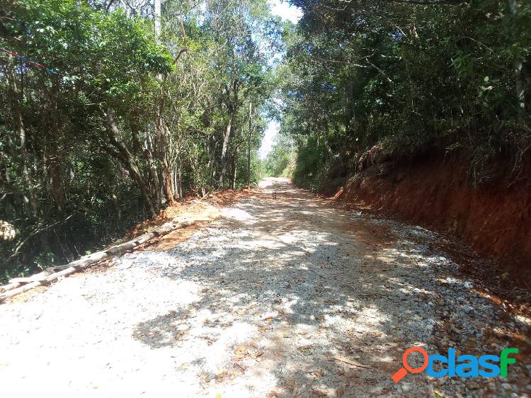 Terreno de 10 mil m² em Ratones, estuda permuta em parte do