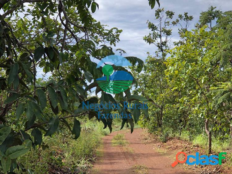 Fazenda mista gado possibilidade de arrendo cana
