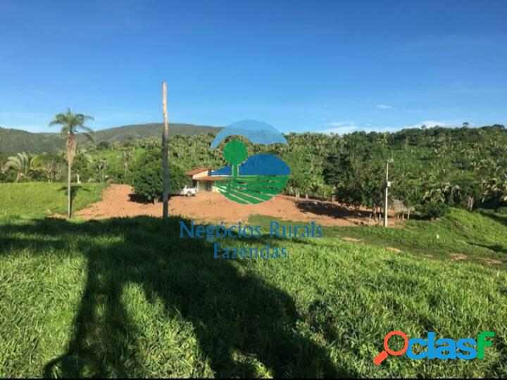 Fazenda para criar gado com preço bom