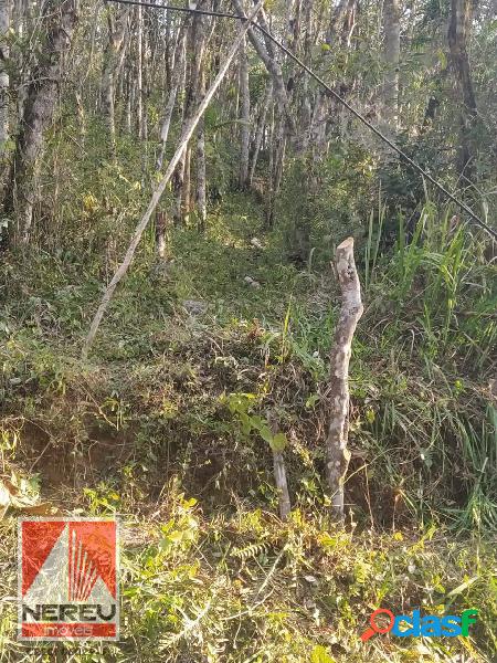 TERRENO JUQUITIBA ÓTIMO PARA FORMAR CHÁCARA