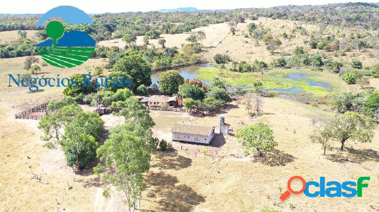 Fazenda dupla Aptidão Norte Goiano (Formoso -GO)