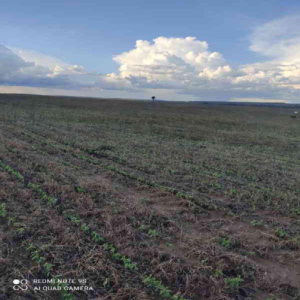 Fazenda, Centro, 0 Quarto, 0 Suíte