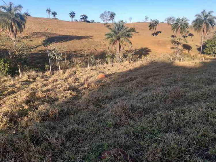 Fazenda, Centro, 3 Quartos, 5 Vagas, 1 Suíte