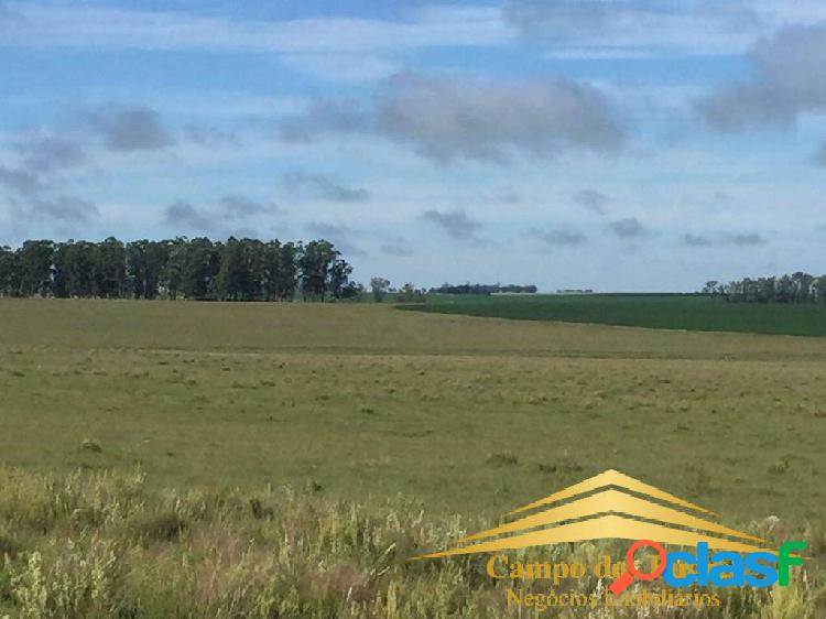 FAZENDA NO URUGUAI - 1.194 HECTARES