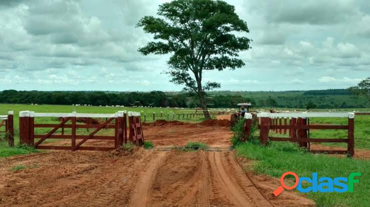 Belíssima Fazenda 42 Alqueires - Próximo Botucatu