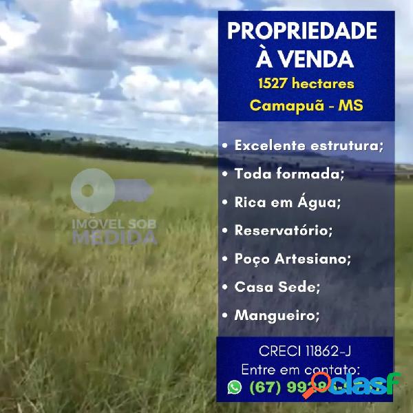 Fazenda 1527 ha Camapuã - Área de Patrão