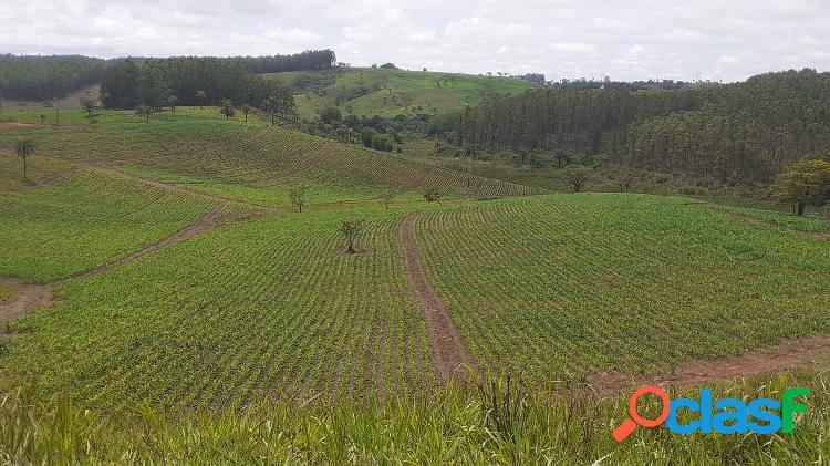 Fazenda para Pecuária em Córrego Danta-MG