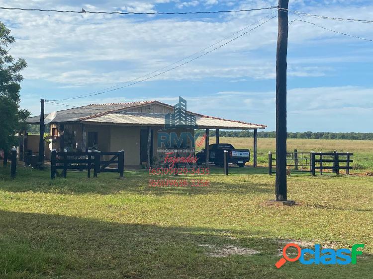 Fazenda de 722 hectares para pecuária em Cáceres Mato