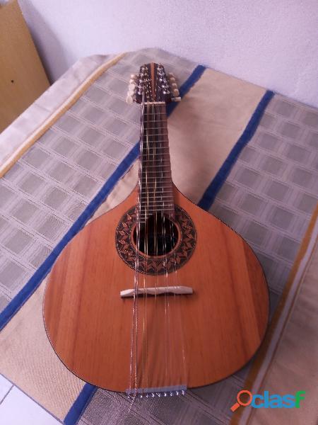 bandolim de 10 cordas luthier lucenir