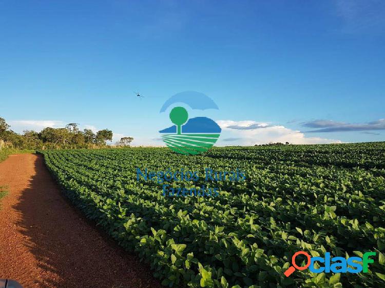 Fazenda Integração Lavoura Pecuária