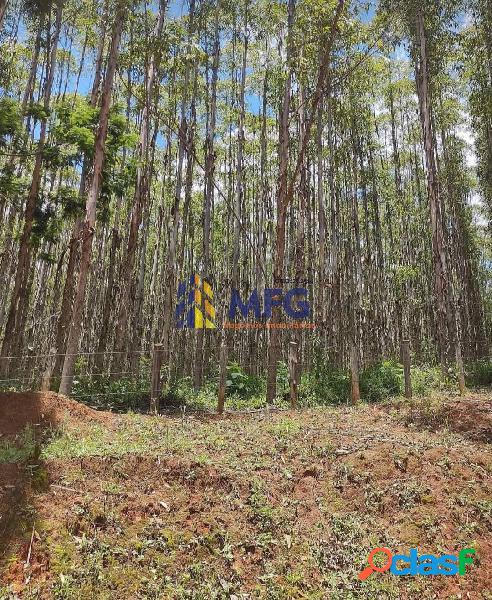 Excelente Fazenda Com Eucalipto E Pinus A Venda Na Região