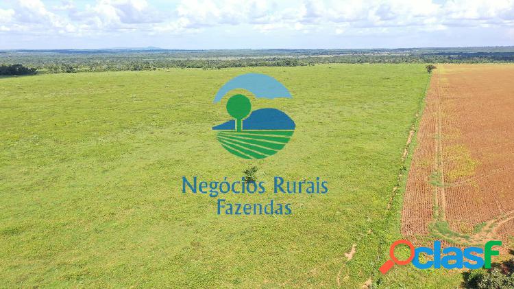 Fazenda 96 Alqueires Dupla Aptidão