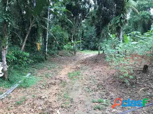 Venda - AREA - HORTO FIGUEIRA Ubatuba SP