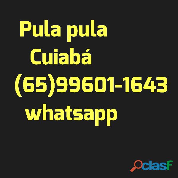 Aluguel de pula pula Cuiabá 65 99601 1643 whatsapp