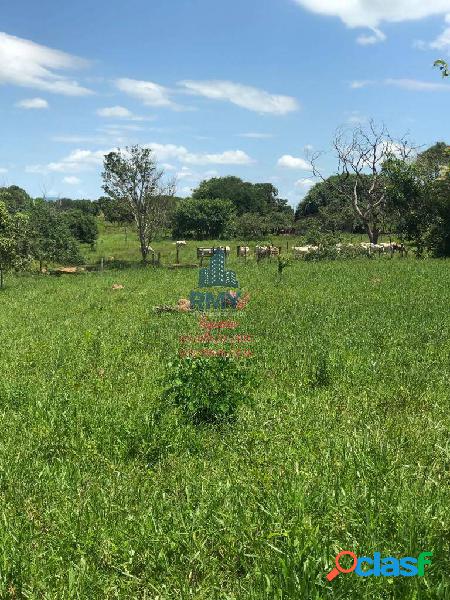 Sitio de 40 hectares, região de Cáceres