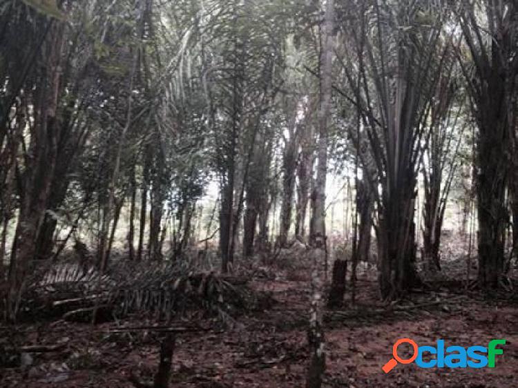 Terreno à venda, 1000 m² por RS 250.000,00 - Zona Rural -