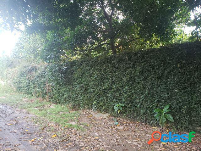 Terreno à venda, 217 m² por RS 210.000 - Flores -