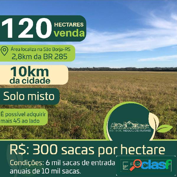 Área de 120 hectares na cidade de São Borja-RS