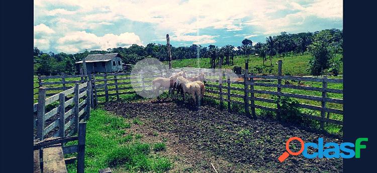 Linda Fazenda com 108 Alqueires, Careiro Castanho-AM