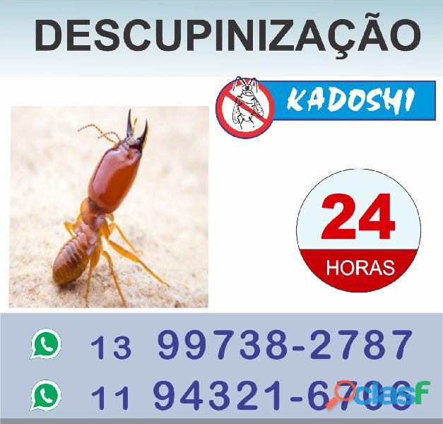 DESCUPINIZAÇÃO PROFISSIONAL