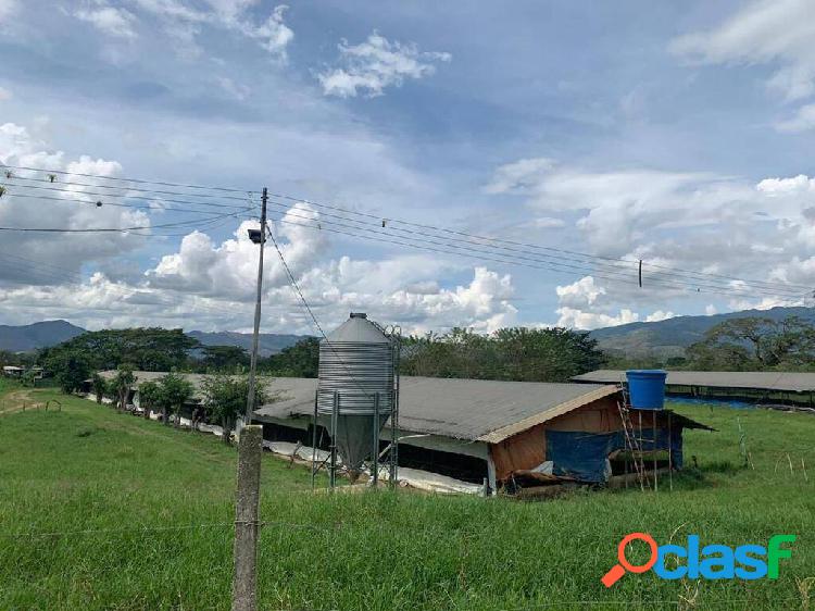 En venta Granja Avícola, miranda, estado carabobo