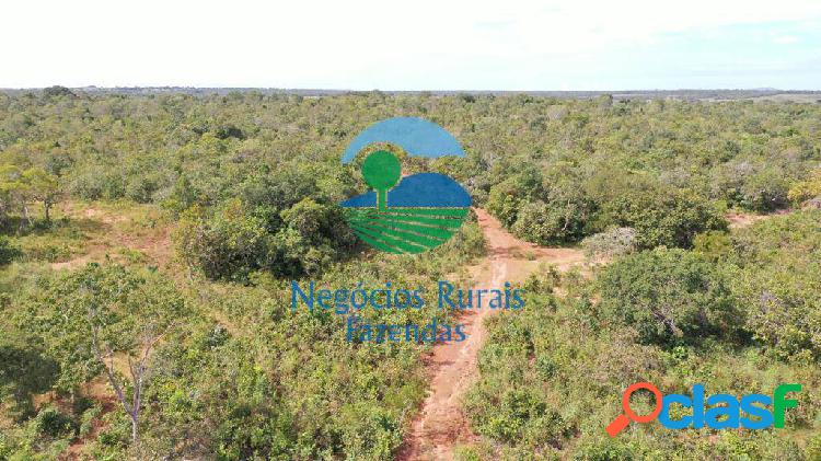 Fazenda bruta sul Tocantins