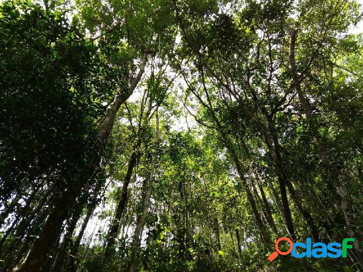 Lote a venda em condomínio fechado de Nova Lima