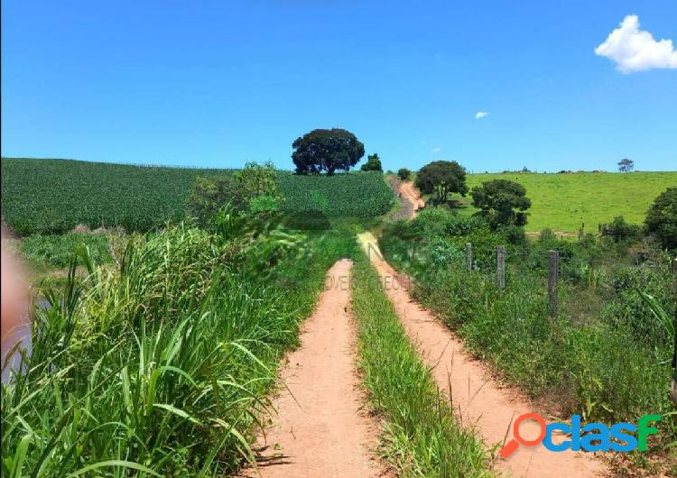 Fazenda 181,5 hectares, à venda em Itatiba/SP.