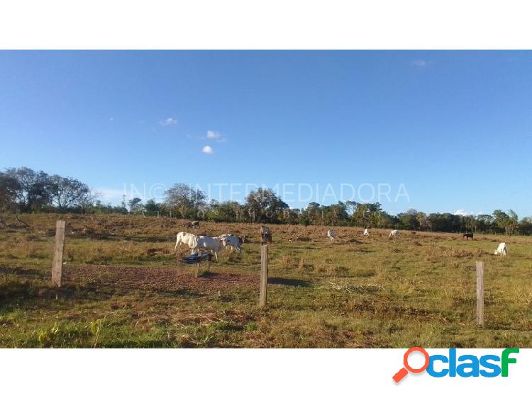 Fazenda com 6 alqueires em Couto Magalhães TO