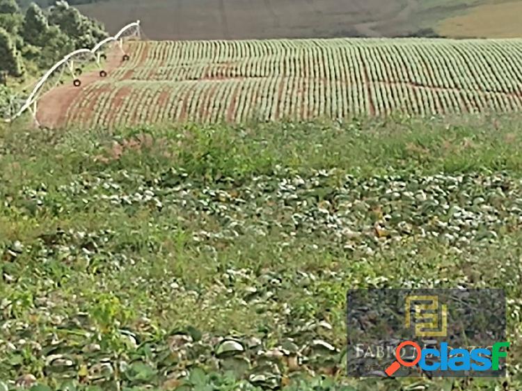 Fazenda em agricultura á venda em Poços de Caldas MG