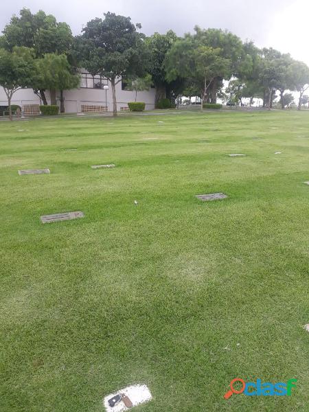 Vendo Jazigo Cemitério Parque dosFlamboyants Campinas