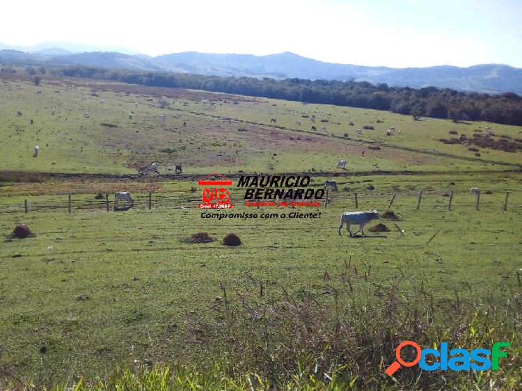 Fazenda em Santa Rita do Sapucaí, MG