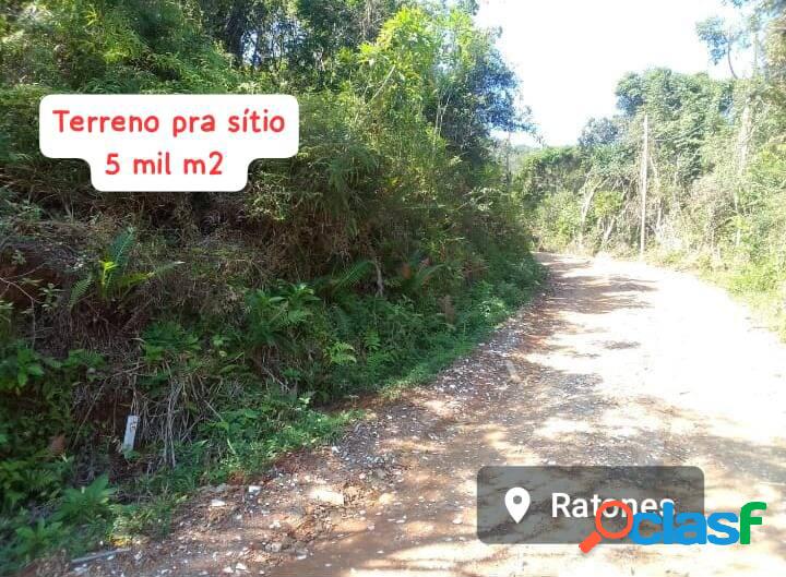 Terreno pra sítio em Ratones