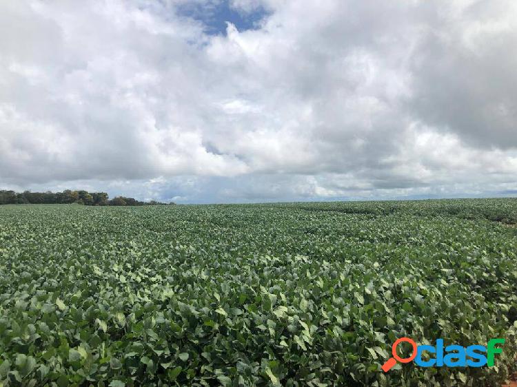 Fazenda Sorriso