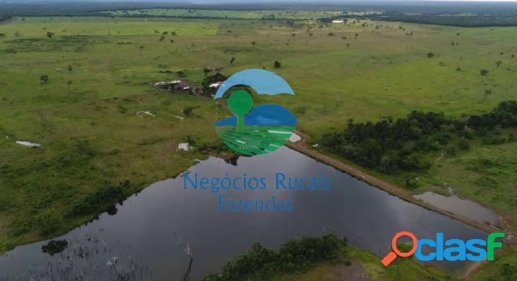 Fazenda Dupla aptidão 276 Alqueires Tocantins Oportunidade.