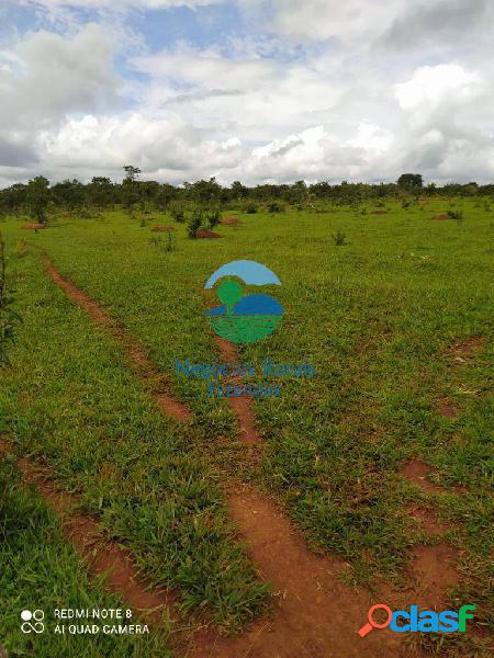 FAZENDA COM VARIAS APTIDÕES